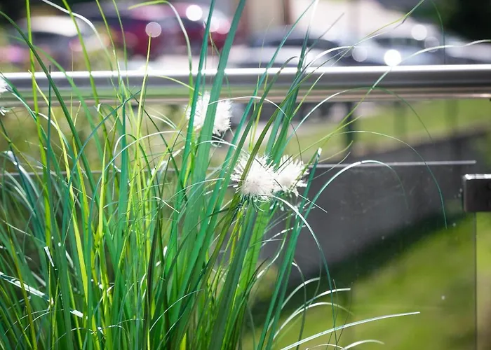 Appartement Gorzysty Ii