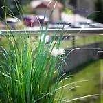 Апартаменты Gorzysty Ii