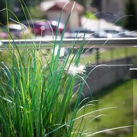 Apartment Gorzysty Ii